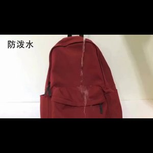 TheBagPlaceSG Japan Style Everyday School Bag Waterproof Backpack "SG Fast Shipping"