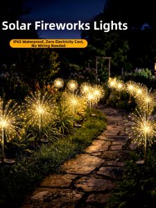 BEAUTY IN THE LIGHT | Garden Solar Light Atmosphere Lighting