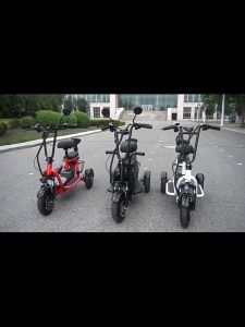 Xe điện ba bánhĐi chợđi dạođón trẻ emngười già đi bộcó thể đặt trong cốp xe-Bảo hành 12 tháng