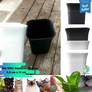 (1 pc) Pot Bunga Sense HDG Sansevieria Ukuran 8