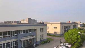 In Stock Wholesale Grapefruit Prune Lotus Leaf Honey Prune Lotus Leaf Juice Solid Beverage Source Dropshipping Instant Drink