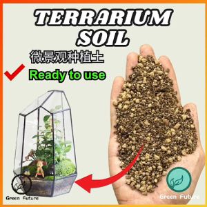 Terrarium Mix Soil 景观瓶专用配方土 Garden Soil Succulent Fern Fittonia soil 微景观专用土