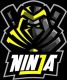 NINJA Motor Parts