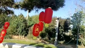 Đèn Lồng Vải hình Trụ dài trang trí Tết - đèn lồng Trung Hoa - Chúc mừng năm mới Nhà Chùa Trường học