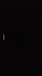 เส้นมะละกออบแห้ง - Dried Papaya