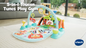 VTech® 5-IN-1 TOUCAN TUNES PLAY GYM