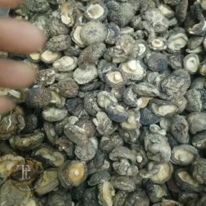 COMBO 2 Bịch mỗi bịch 100gr Nấm Hương 100gr nấm Đông cô sấy khô ăn chay ăn kiêng giảm cân loại 1 Thiên Thảo Organic