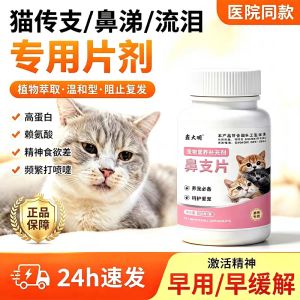 猫鼻支特效专用口服片猫咪打喷嚏流鼻涕专用预防呼吸道感染猫杯状