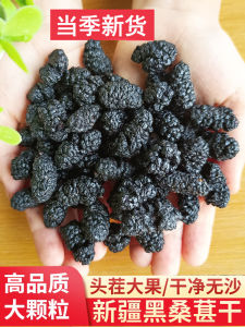 Authentic Xinjiang Black  Dried Fruits Soak in Water Alcohol Beverage Premium Quality Traditional Chinese Medicine Clean Sand Free