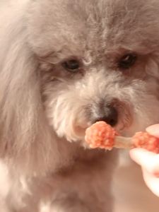 100 กรัม ขนมสำหรับน้องหมาทุกสายพันธุ์ แมวทานได้ เนื้อสัตว์เกรดคนทาน ขนาด 100 กรัม