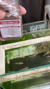 Cám Trộn T10 100g (10 thành phần) Chăm Sóc Cá Toàn Diện - Thức Ăn Cá 7 Màu Khỏe Mạnh