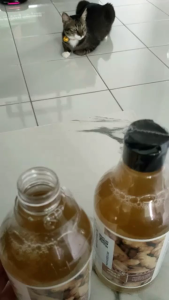 Ginger shampoo 500ML anti-hair loss shampoo hair growth shampoo quick hair growth shampoo anti-hair loss baldness ginger shampoo oil control refreshing moisturizing nutrition