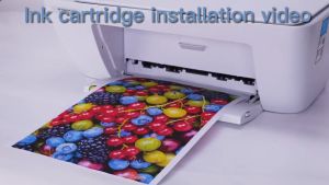 Canon PG445 & PG446 Refillable Ink Cartridge: A Guide for Canon PIXMA Printers