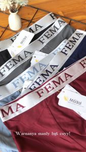 3 PCS Celana Dalam Pria Fema Sempak Boxer Pria CD Segiempat Cowok M L XL XXL CD Pria Premium