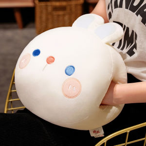 Cute Cartoon Plush Hand Warmer Pillow Office Nap Small Pillow Student Dormitory Soft PP Cotton Crystal Ultra Soft Universal