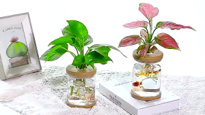 Nordic Minimalist Hydroponic Vase Automatic Water Absorption Plant Pot Plastic Propagation Pot Desktop Flower Pot