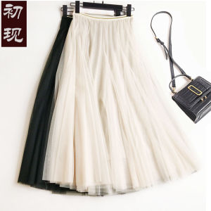 2024 Spring Summer Autumn Winter Midi Skirt Mesh Half-length Elegant Draping Versatile Fairy-like Slimming Pleated Skirt