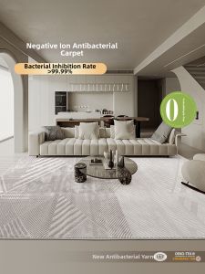 DISHEMEI | Antibacterial Modern Minimalist Environmentally Friendly Carpet