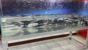 เหยื่อยาง ปลิงยาง ยาว 8.5 CM หนัก 5.4 กรัม แพ็ค 4 ตัว พร้อม ตัวเบ็ด 2 ตัว เป็นเหยื่อจม เหยื่อตกปลา เหยื่อปลอม WT 2410