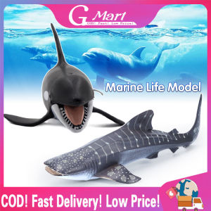 Oceans World Fishes Aquarium Miniature Decor Fish Tank Accessories Sea Animal Model Humpback Whale Hammerhead Shark Dolphin Toys Marine-Life-Model