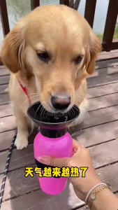 Dog Water Bottle Water Dispenser Drinking Feeder for Pets Outdoor Walking Hiking Travel