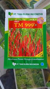 BENIH CABE KERITING HIBRIDA F1 TM THUNDER 99 10 GRAM // BENIH CABAI