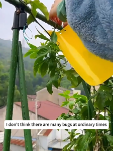 จัดส่งในพื้นที่ 🚚 50 แผ่น สีเหลือง แผ่นกาวดักแมลงขนาด กระดานดักแมลง ที่ดักแมลง 20x10 ซม. กาวเหนียว 2 ด้าน สำหรับดักแมลงวันทอง แมลงศัตรูพืชต่างๆ ThaiJOY