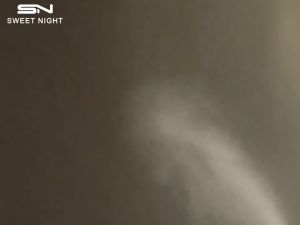 Sweet Vanilla Thank U Dear Pour Femme Fragrance Women Perfume Fragrance Mist 100ml