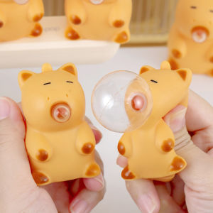 Stress Relief Cute Cartoon Capybara Toy
