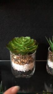 กระถางแคคตัสปลอม กุหลาบหินปลอมพร้อมกระถางแก้ว