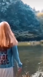 Súp pate whiskas dành cho mèo con và trưởng thành 80gr - T3 PETS SHOP