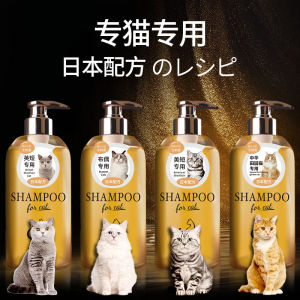 Japanese Formula Cat Shower Gel Special Pet British Shorthair Muppet Sterilization Anti-Mite Odor Shampoo Long Hair Lasting Fragrance