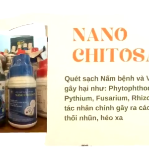 Nano Chitosan 5% 500ml – Giải Pháp Phòng Nấm Từ Gốc Giữ Cây Khỏe Trái Sai Ổn Định