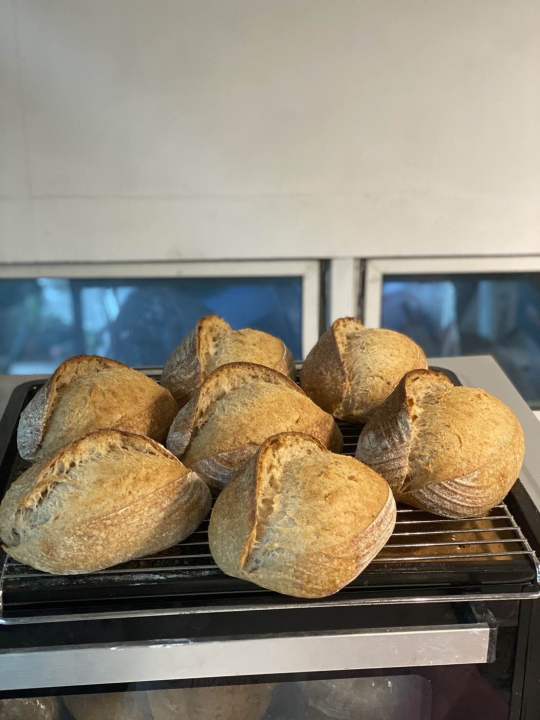 Sourdough Whole Wheat Bread 💥(buy 3 get 1 free) 🥖🍞ซื้อ 3 แถม 1 ซาวโดว์ ...