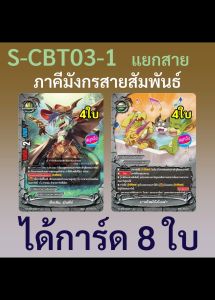 สำรอง ภาคีมังกรสายสัมพันธ์ เอนเชนท์เวิลด์ บัดดี้ไฟท์ จากชุด S-CBT03-1 ไฟท์แถวด้วย 8 ใบ