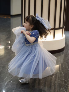 Princess Style Birthday Dress for Girls Baby Blue Tulle Skirt Frozen Elsa Theme Summer Childrens Clothing Short Sleeve Cartoon