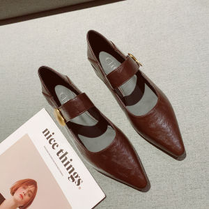 French Vintage Pointed Toe Mary Jane Shoes Womens 2025 New Simple Versatile Thick Heel Work Single Shoes Fashionable Daily Wear