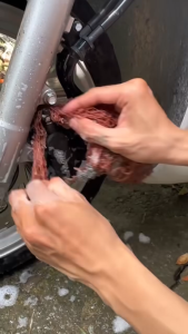 combo 2 bộ ( 10 chổi ) cọ vệ sinh đa năng