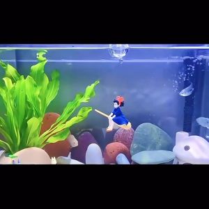 Trang Trí Hồ Cá Nàng Tiên Cute