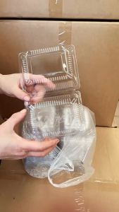 100pcs Clear Rectangular Clamshel Square Food Container Fresh fruits Packaging Vegetable Strawberry Cookies Box Dessert