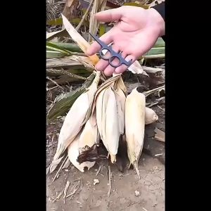 Universal Alat Kupas Kulit Jagung / Pengupas Jagung Manual / Alat Pembuka Kulit Jagung / Pengupas Jagung
