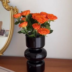 Bình hoa thuỷ tinh phong cách Châu Âu trung cổ cổ điển mà hiện đại  lọ hoa decor Qhouse nhiều màu độc đáo