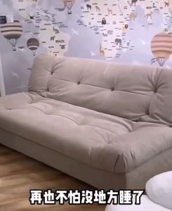 Sofabed(Free Delivery and install)Type 云朵 Cloud Sofa Spring Living Room Sofa