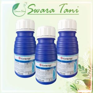 Curacron 500 EC isi 250 ml Insektisida pembasmi hama