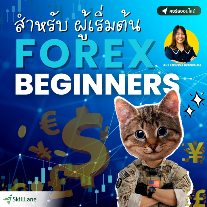 Forex Trading for Beginners นำทางสู่การเป็นนักเทรดมืออาชีพ | คอร์ส ...