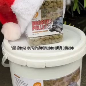 Armour Exotics Booster Pellets Tortoise Food Sulcata Redfoot Elongated Tortoise Supplement Pellets 1.8KG 300g Big Packaging