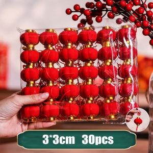 20/30pcs Round Chinese New Year Lanterns Small Red Flocking Lantern Tassel for Chinese Spring Festival Wedding Party Decoration CNY Hanging Pendant Gift