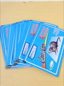 100PCS ( Super Strong Adhesion ) Mouse & Rat Trap Glue Board Sticky mouse board mouse glue trap Mouse Sticky Board Bait Traps Mouse & Green Thick Paper Card Mouse