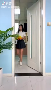 Stainless Steel Automatic self-closing Door Closer Hinge