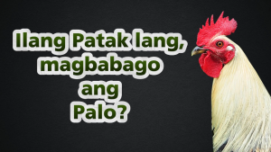 Pit Cobra Proherb Noni Liquid Drops - Antistress Immune Booster at Lakas Palo pa! Saan ka pa!